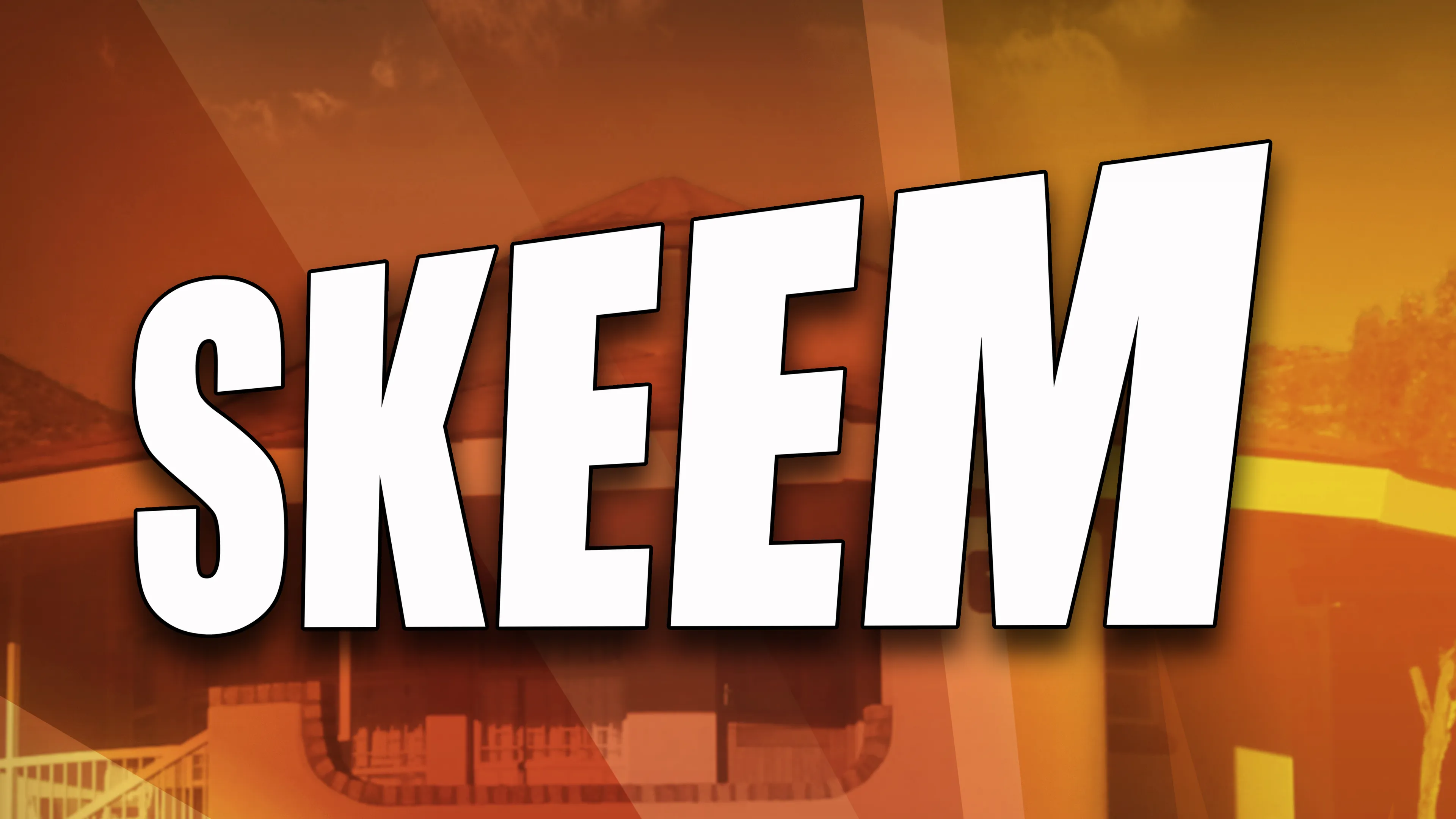 Skeem poster